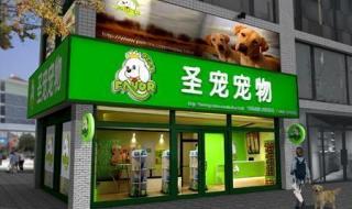 开宠物店成本分析